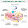 Membrana Regeneradora Porosa Membracel